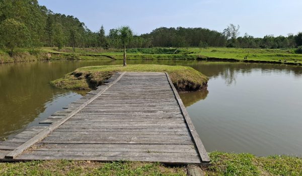 WhatsApp Image 2024-10-08 at 16.45.39 (1)