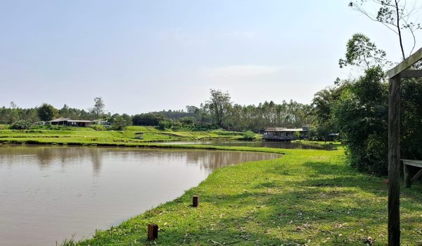 WhatsApp Image 2024-10-08 at 16.45.39