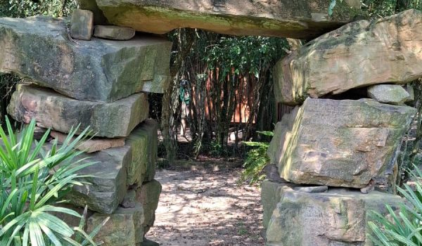 WhatsApp Image 2024-10-08 at 16.45.42