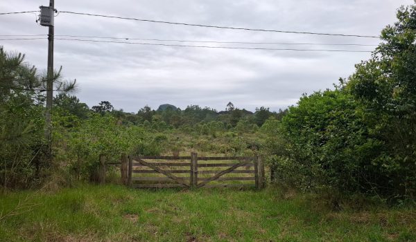 WhatsApp Image 2024-10-14 at 17.32.35 (2)