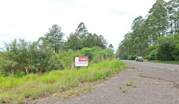 WhatsApp Image 2024-10-14 at 17.32.35