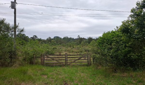 WhatsApp Image 2024-10-14 at 17.32.36