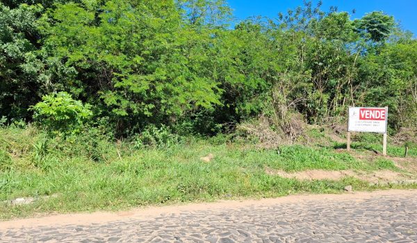 WhatsApp Image 2024-12-05 at 16.27.23