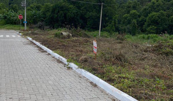 WhatsApp Image 2025-01-08 at 16.09.03