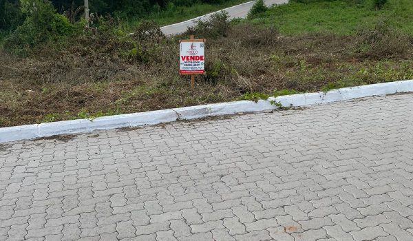 WhatsApp Image 2025-01-08 at 16.09.04 (1)