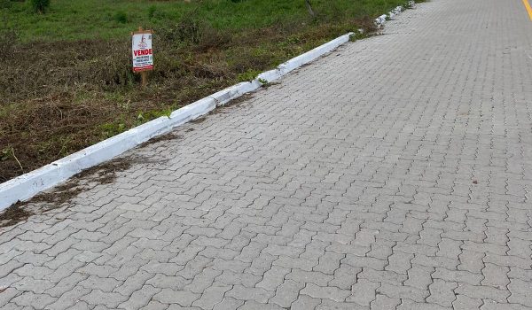 WhatsApp Image 2025-01-08 at 16.09.04