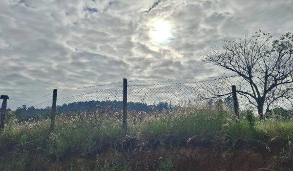 WhatsApp Image 2025-05-22 at 09.35.15 (2)