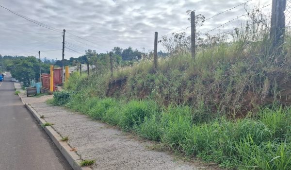 WhatsApp Image 2025-05-22 at 09.35.15