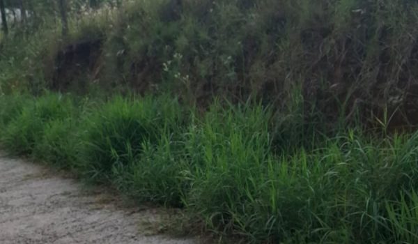 WhatsApp Image 2025-05-22 at 09.35.17 (1)