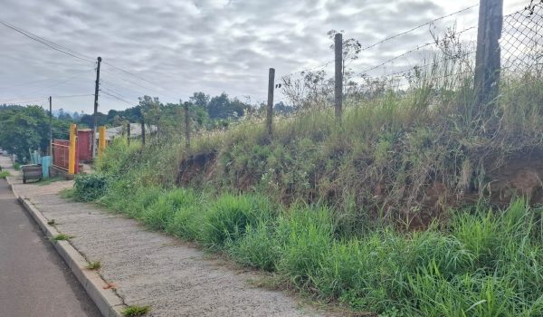 WhatsApp Image 2025-05-22 at 09.35.17