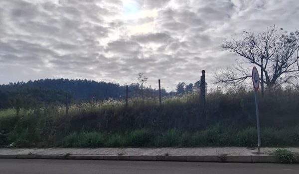 WhatsApp Image 2025-05-22 at 09.35.19