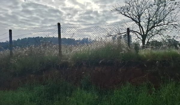 WhatsApp Image 2025-05-22 at 09.35.21