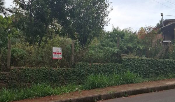 WhatsApp Image 2025-06-13 at 08.36.36 (3)