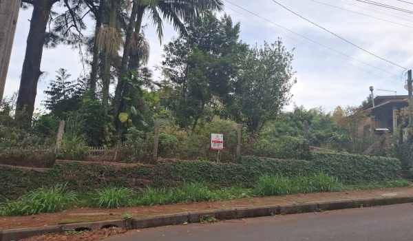 WhatsApp Image 2025-06-13 at 08.36.36