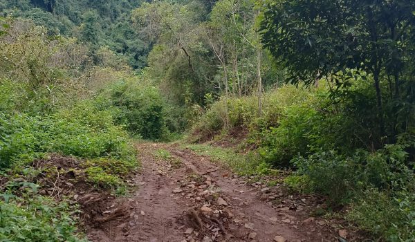 WhatsApp Image 2025-06-14 at 11.41.02 (1)