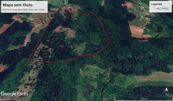 WhatsApp Image 2025-06-14 at 11.41.02