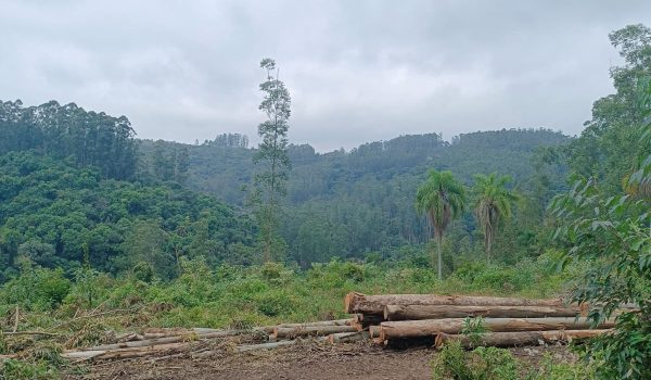 WhatsApp Image 2025-06-14 at 11.41.04 (1)