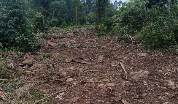 WhatsApp Image 2025-06-14 at 11.41.04 (2)