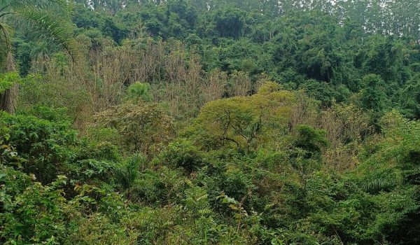 WhatsApp Image 2025-06-14 at 11.41.04