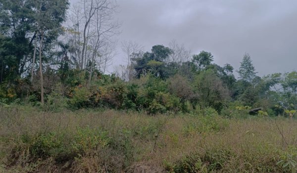 WhatsApp Image 2025-06-14 at 11.41.05 (1)