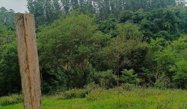 WhatsApp Image 2025-06-14 at 11.41.05 (2)