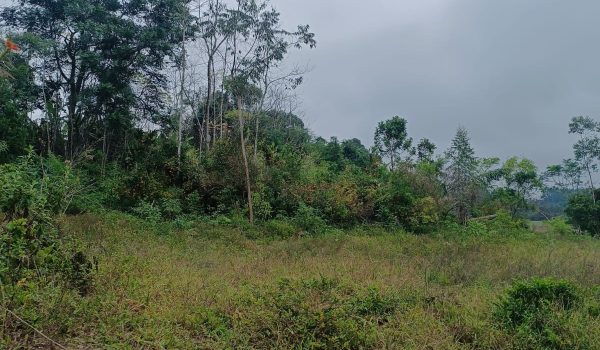 WhatsApp Image 2025-06-14 at 11.41.05