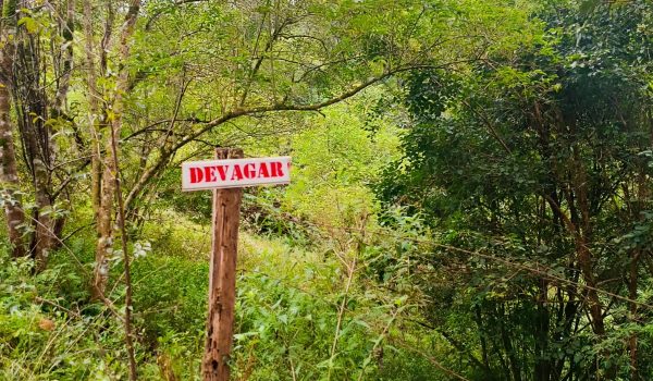 WhatsApp Image 2025-06-14 at 11.41.06 (1)