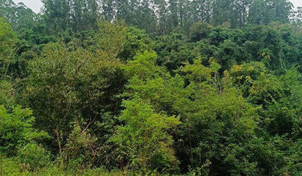 WhatsApp Image 2025-06-14 at 11.41.06