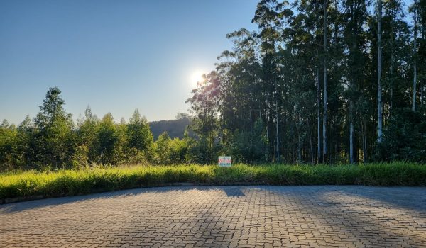 WhatsApp Image 2025-07-22 at 08.46.23