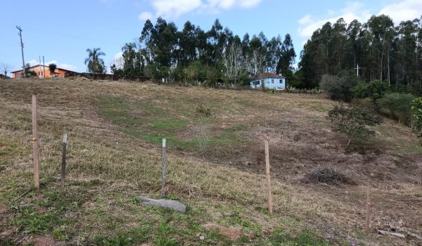 WhatsApp Image 2025-08-15 at 17.01.21 (1)