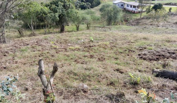 WhatsApp Image 2025-08-15 at 17.01.22 (1)