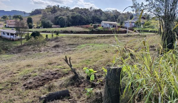 WhatsApp Image 2025-08-15 at 17.01.22