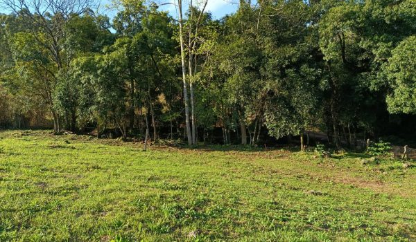 WhatsApp Image 2025-08-29 at 11.24.40 (1)