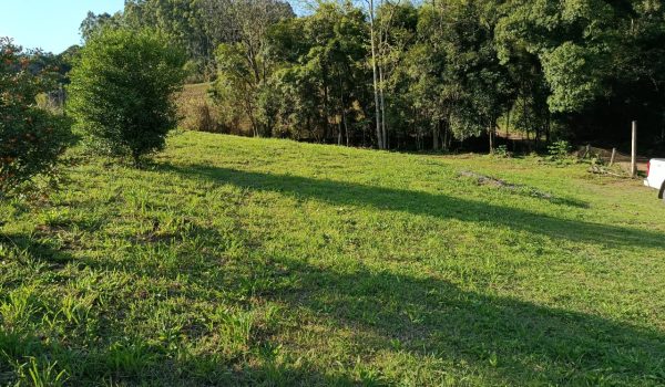 WhatsApp Image 2025-08-29 at 11.24.40 (2)