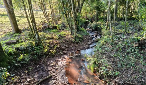 WhatsApp Image 2025-08-29 at 11.24.40