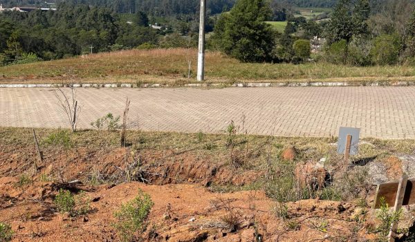 WhatsApp Image 2025-08-30 at 12.35.17 (1)