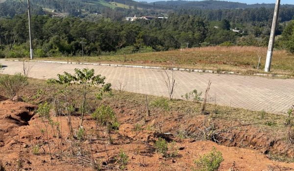 WhatsApp Image 2025-08-30 at 12.35.17 (2)