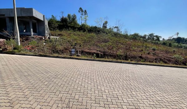 WhatsApp Image 2025-08-30 at 12.35.17