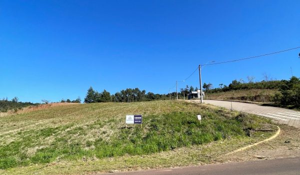 WhatsApp Image 2025-08-30 at 12.35.19