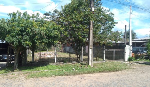 WhatsApp Image 2025-11-09 at 10.55.58