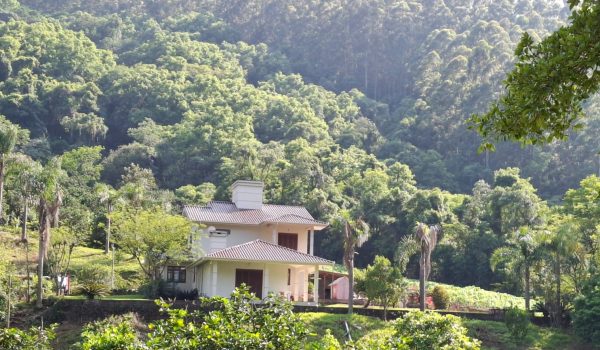 WhatsApp Image 2025-11-16 at 19.42.55