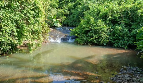 WhatsApp Image 2025-11-16 at 20.07.06