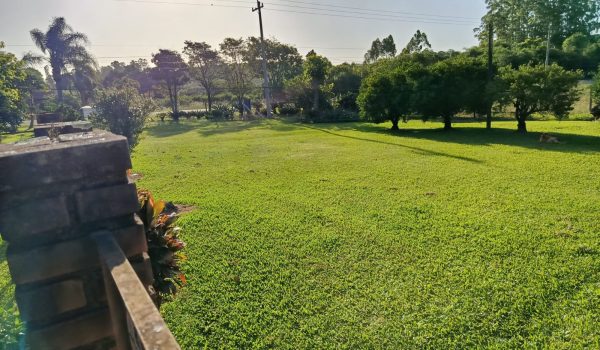 WhatsApp Image 2025-11-19 at 19.08.30 (1)