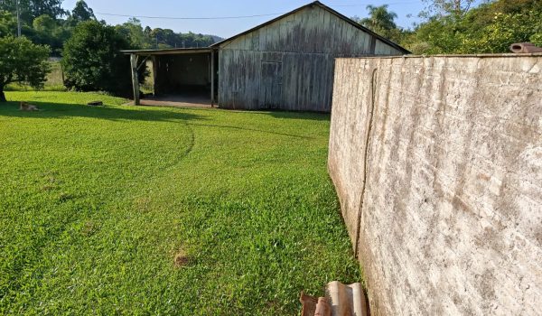 WhatsApp Image 2025-11-19 at 19.08.30