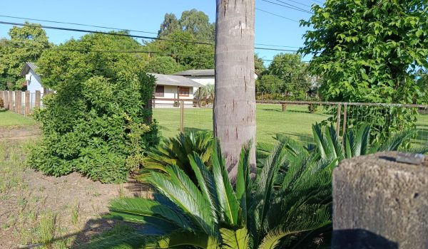 WhatsApp Image 2025-11-19 at 19.09.11 (2)