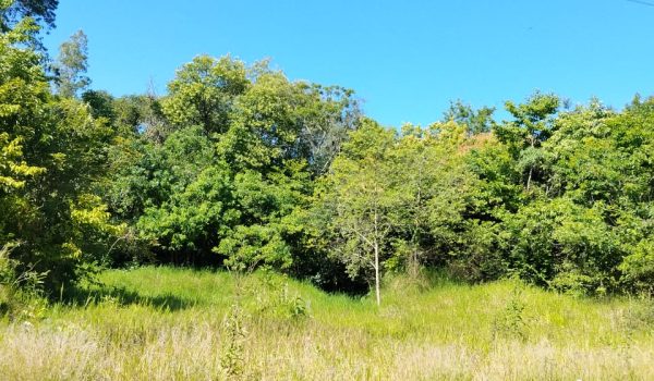 WhatsApp Image 2025-11-27 at 22.05.44