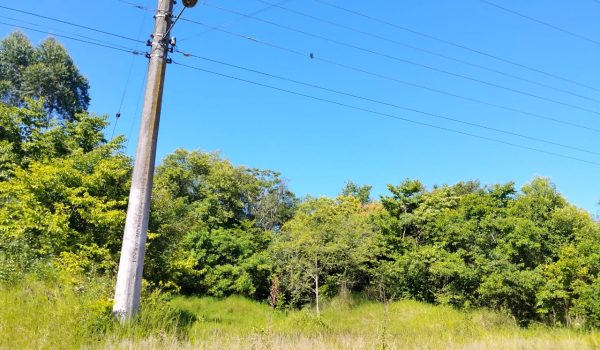 WhatsApp Image 2025-11-27 at 22.05.45