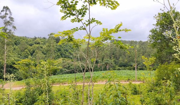 WhatsApp Image 2025-11-28 at 14.21.08 (1)