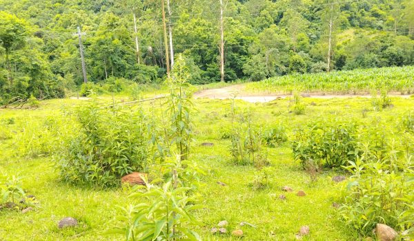 WhatsApp Image 2025-11-28 at 14.21.08