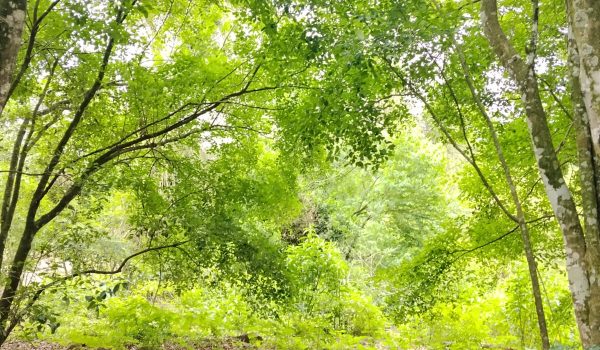 WhatsApp Image 2025-11-28 at 14.21.09